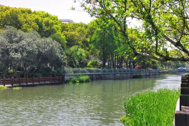 春光里，上海长宁这条河道的美超乎你的想象