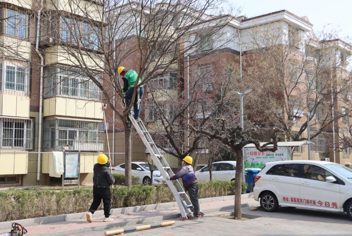 延庆康安社区：物业社区巧结合 让1+1＞2