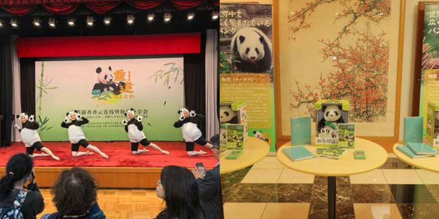 驻日本大使吴江浩出席大熊猫香香云连线暨粉丝分享会