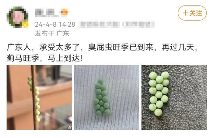 头皮发麻！专家提醒：不要用手直接触碰