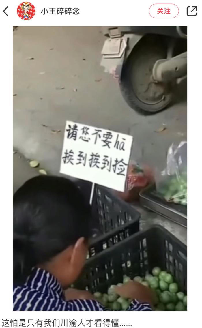 川渝水果摊广告牌|图源:小红书截图