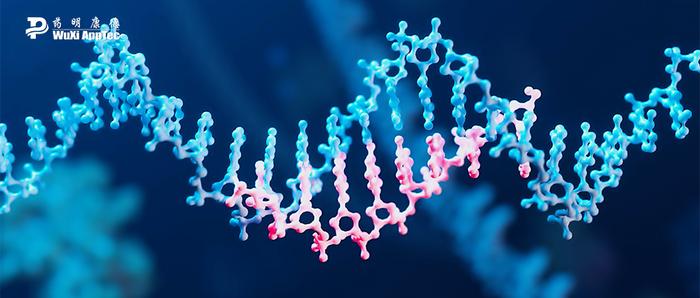 不改变DNA序列即可实现精准基因调控，一文了解表观遗传编辑技术的近期产业趋势
