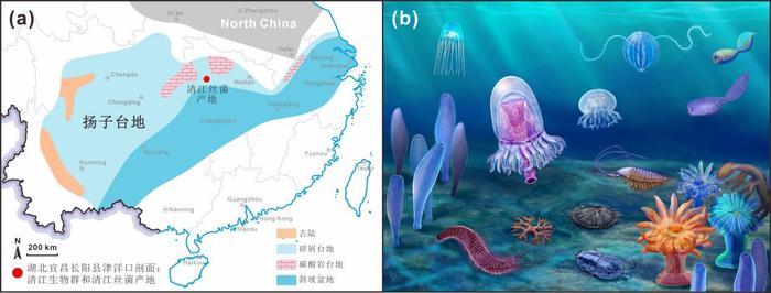 我国科学家发现古老细菌化石 揭示生命与地球环境演变新线索