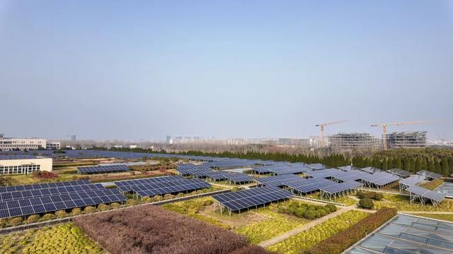 上海长宁最大的绿化屋顶安装了光伏板，现在咋样了？