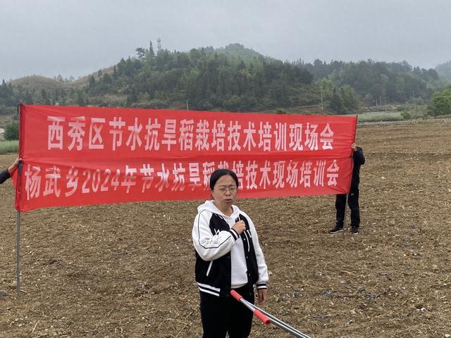 西秀区杨武乡：节水抗旱稻培训掀热潮，农业新篇共绘丰收景