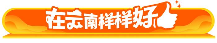 在云南样样好丨楚雄这个社区，让“养老”变“享老”！