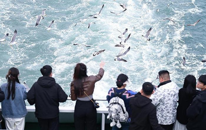 “山海之约·交换春天”网络大V采风青岛之行圆满结束