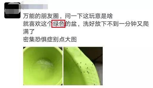 近期注意！少穿黄绿色衣服出门