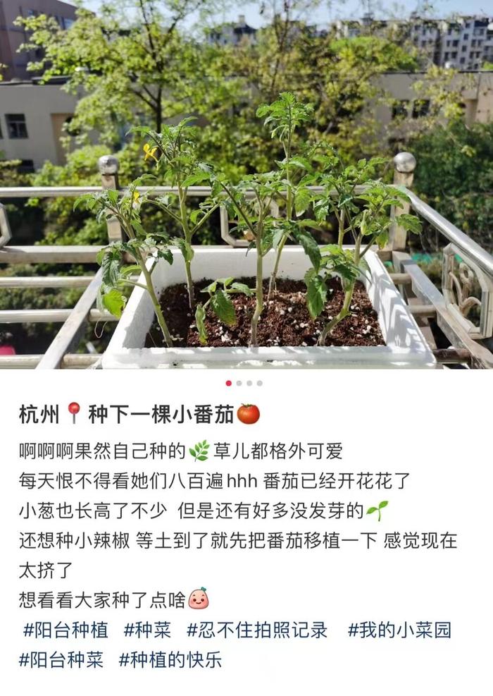 太壕了！杭州人的阳台被曝光了！网友：这才是大户人家！