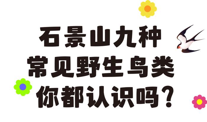 @石景山市民，遇到受伤小鸟不知所措？这份鸟类救助指南快收好