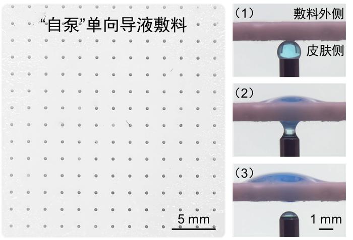 我国科研人员开发出伤口黏液导出敷料