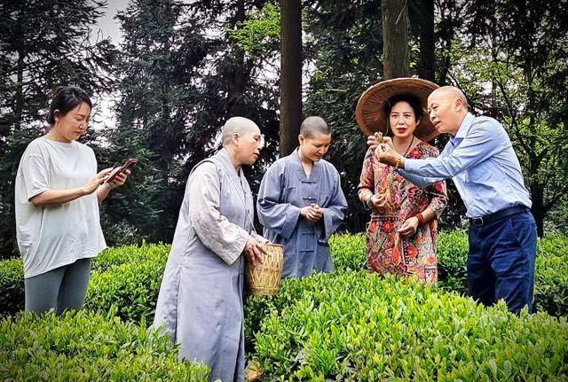 “问茶峨眉山·醉美峨眉茶山行”活动拉开序幕