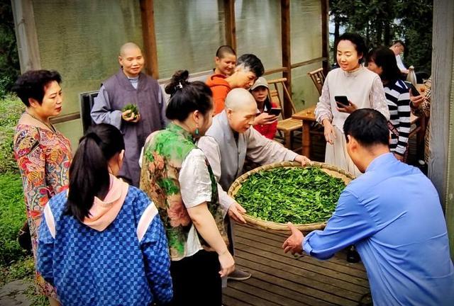 “问茶峨眉山·醉美峨眉茶山行”活动拉开序幕