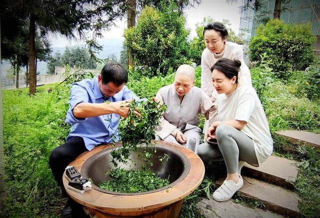 “问茶峨眉山·醉美峨眉茶山行”活动拉开序幕