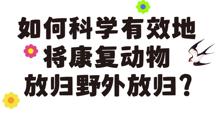 @石景山市民，遇到受伤小鸟不知所措？这份鸟类救助指南快收好