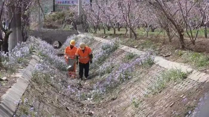 【各区交通】赏平谷万亩桃花海，打卡特色休闲景点之路