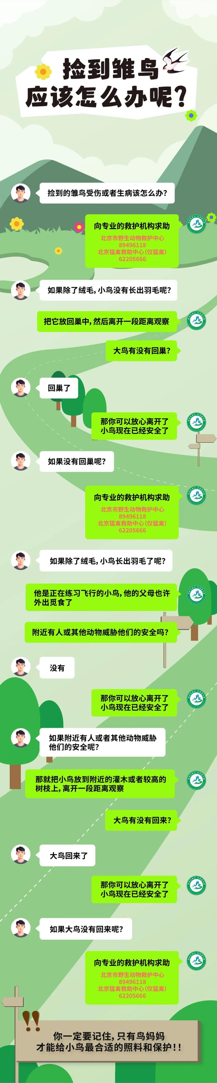 @石景山市民，遇到受伤小鸟不知所措？这份鸟类救助指南快收好