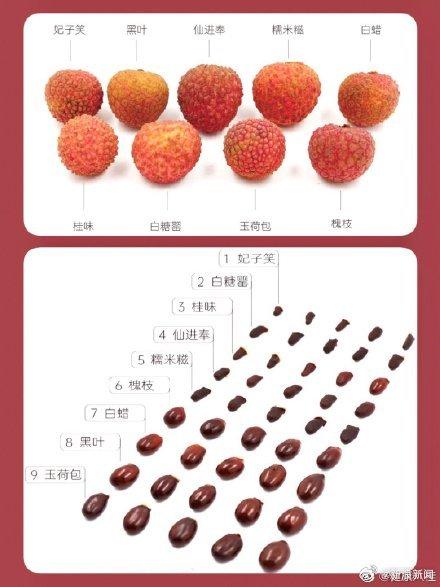 你能分辨出荔枝的种类吗？最喜欢的是哪一种？（荔枝最常见的品种是什么）