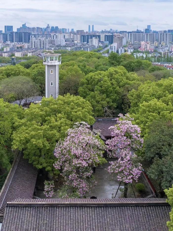 杭州人下班注意！今天的雷雨大风上级别！更糟心的是……