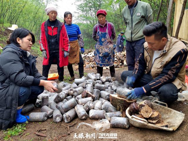 大方县羊场镇：林下奏响致富曲