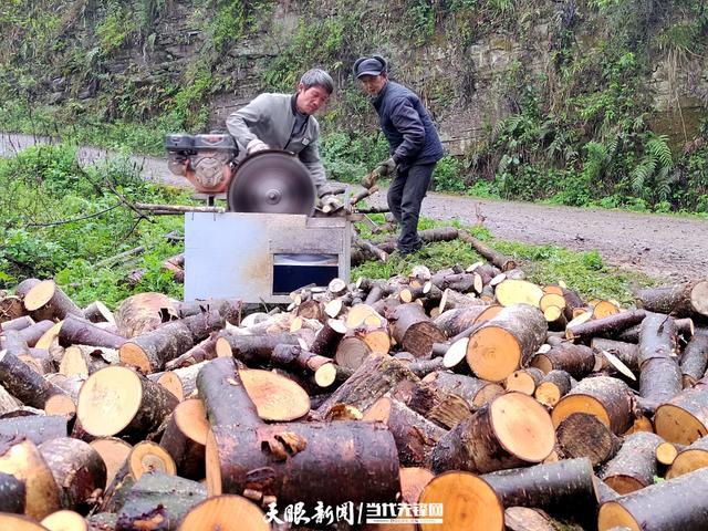 大方县羊场镇：林下奏响致富曲