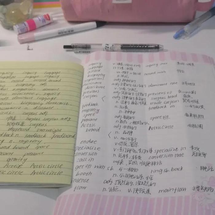 写不完的学科作业(受访者供图)