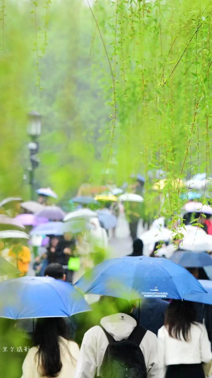 明天晴冷！杭州未来10天就像梅雨季！假期天气有消息了