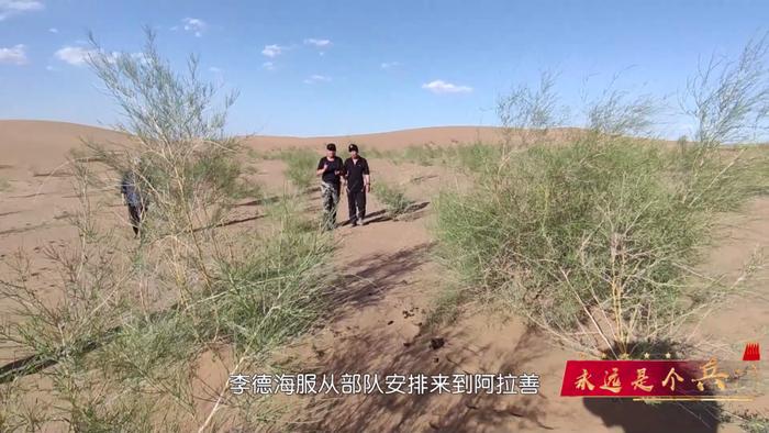 永远是个兵！卸甲不归田，只为绿水青山