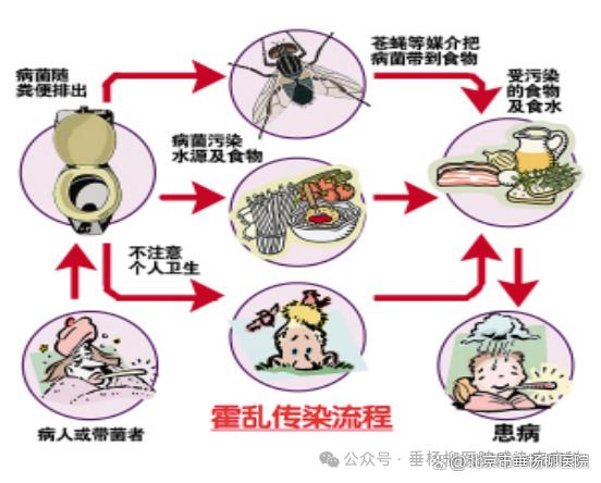 科普 | 感染性疾病科：什么是霍乱？