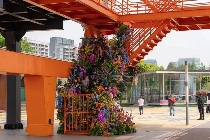 【探索】花“汇”让上海更美丽，2024上海（国际）花展如期而至→