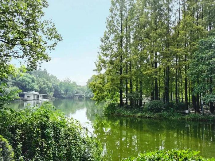 【探索】上海轨道交通这条“幸福环线”，串起一大波风景、地标，跟着来游上海→