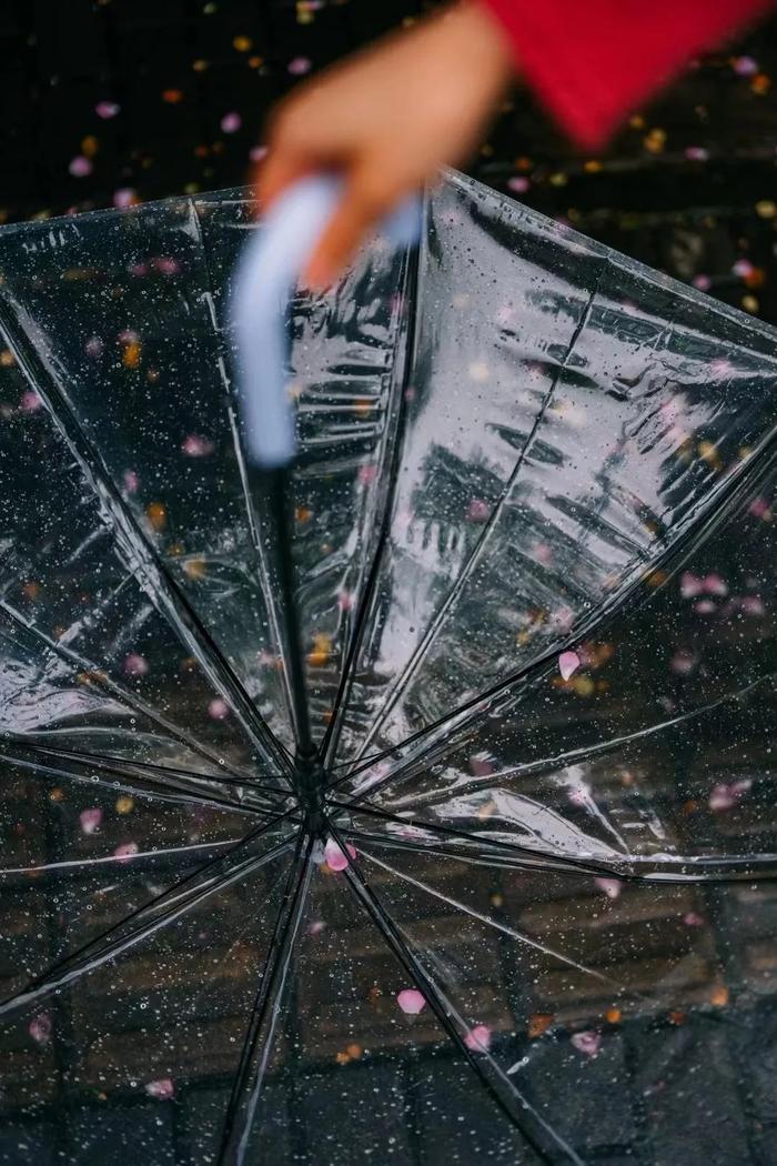 杭州天气有自己的想法！预报雷雨大风，如果没下就当是周末惊喜…