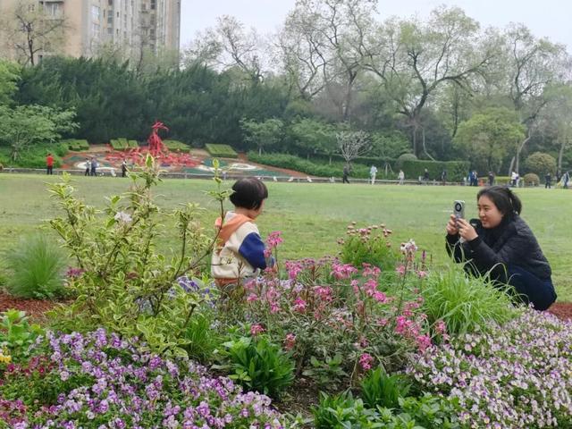 人在画中！上海中山公园这处500多平方米的花园全新亮相