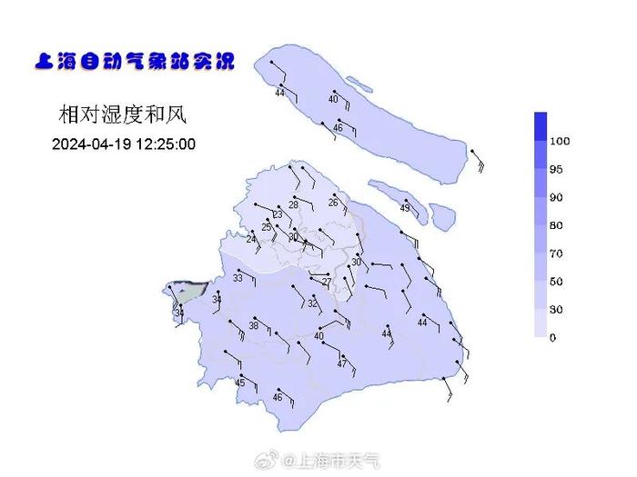 上海人注意：大风预警发布！雨水已到，夜里更猛！还有空气污染……