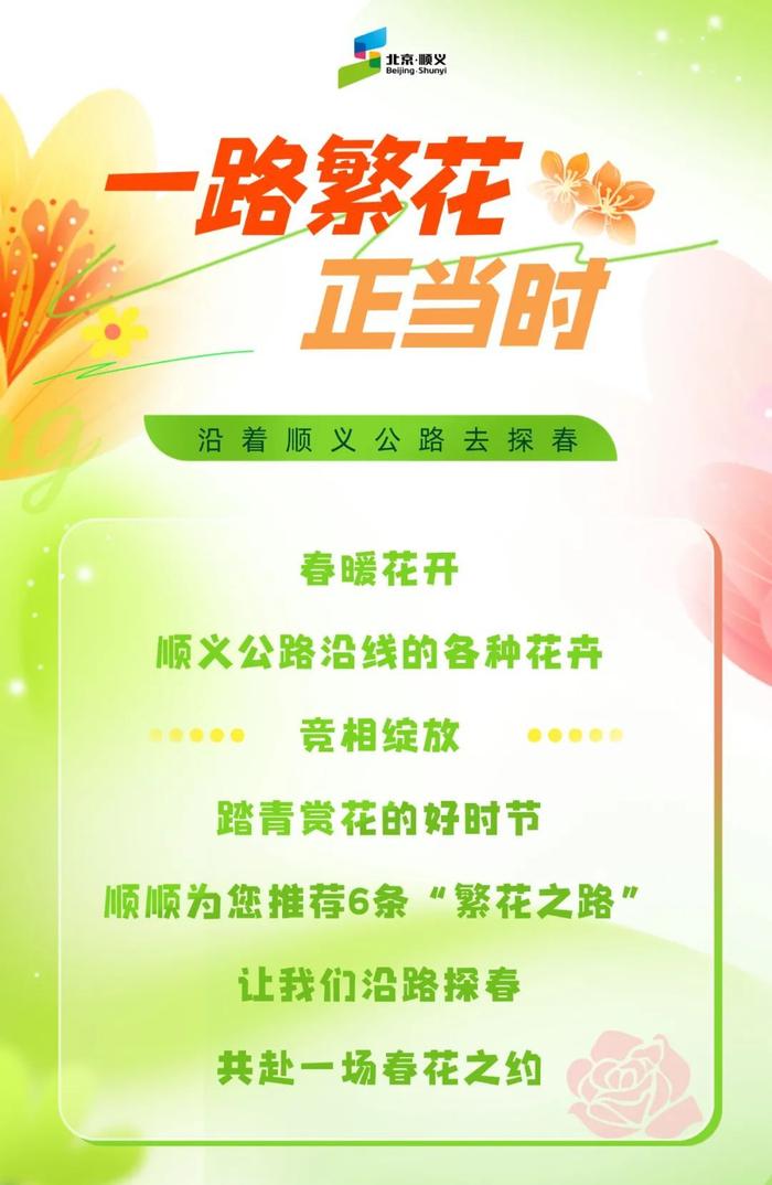 启程！一路繁花正当时——沿着顺义公路去探春