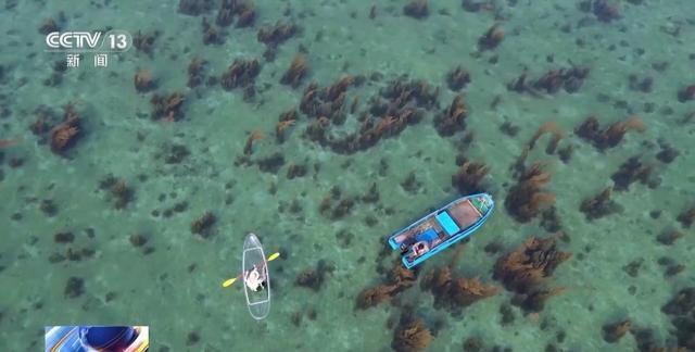 季节限定美景“玻璃海”上线！涠洲岛“五一”将迎客流高峰