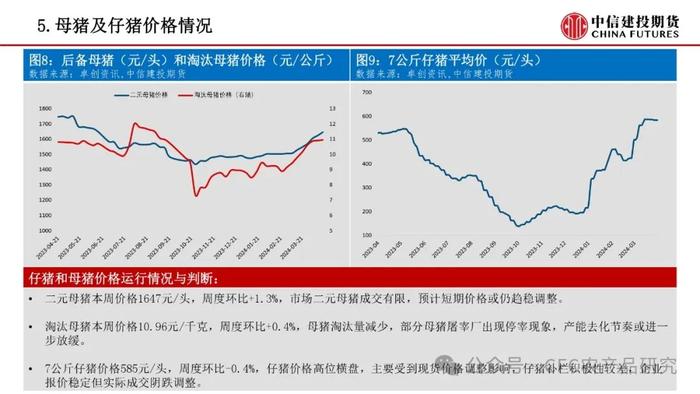 【禽畜周报】生猪分歧后再度走强 鸡蛋近月弱现实兑现