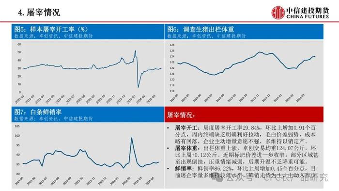 【禽畜周报】生猪分歧后再度走强 鸡蛋近月弱现实兑现