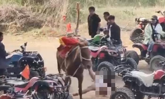 痛心！8岁男童骑马时头朝下被拖行数百米，不幸身亡
