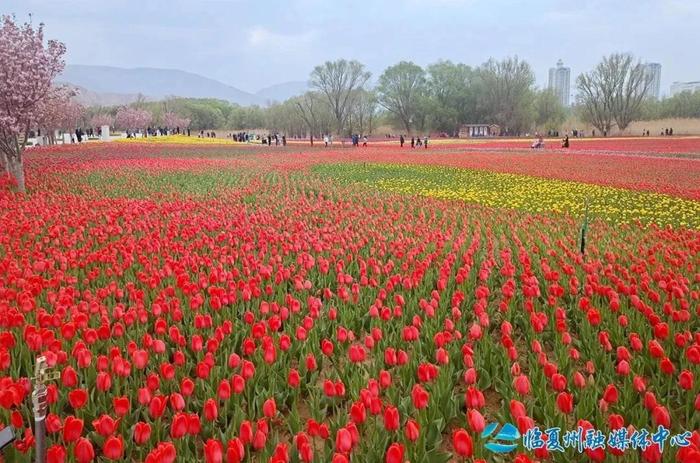 4月必去！临夏竟藏着这样的踏青宝藏地……