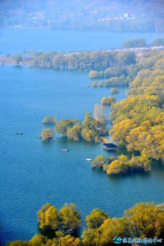 4月必去！临夏竟藏着这样的踏青宝藏地……