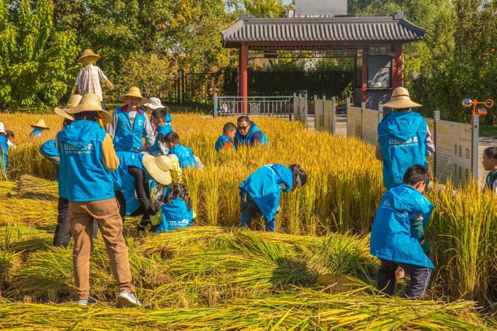 4·22世界地球日｜全“绿”以赴，守护理想家园