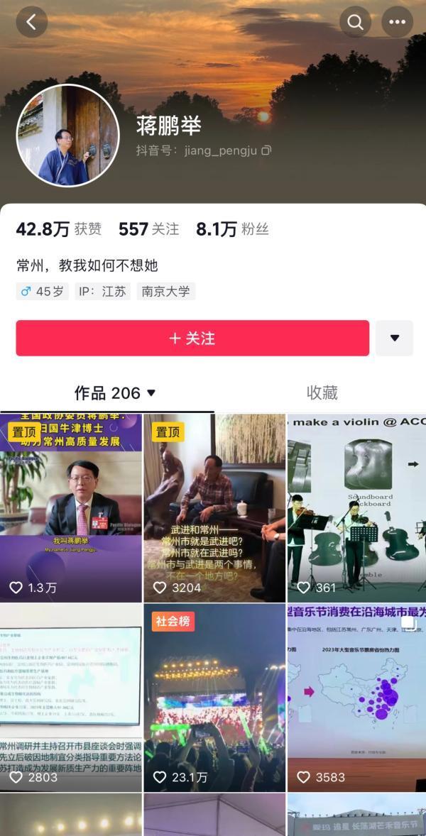 媒体评论副市长看演唱会发抖音：珍视网友自发表现的亲近感