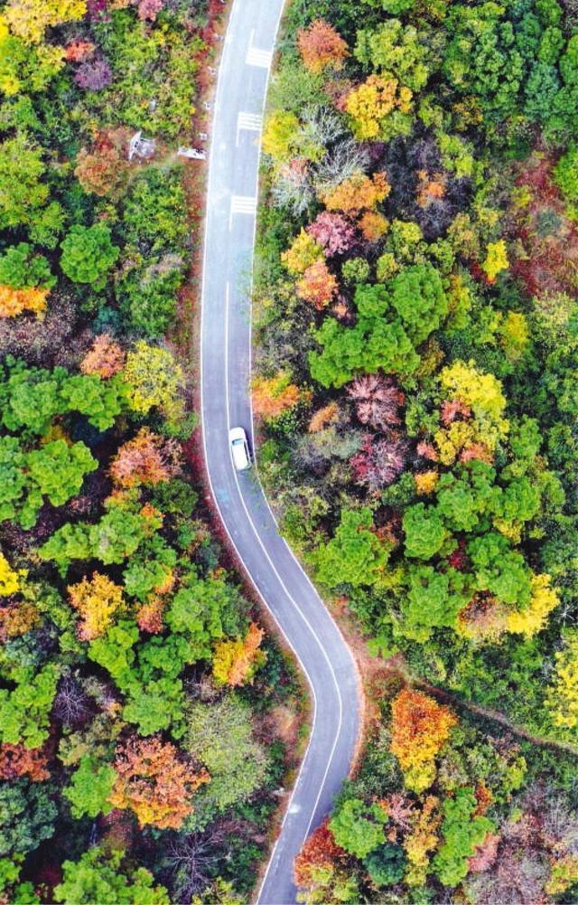 沿农村公路 看美丽安徽