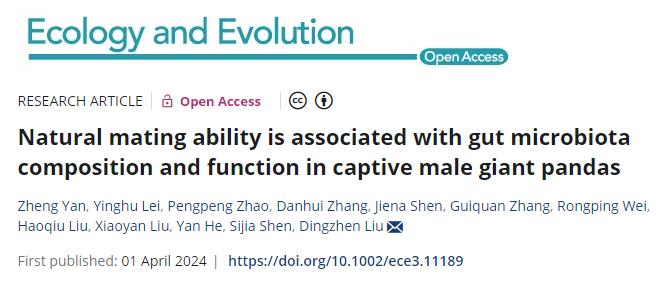 研究发现圈养大熊猫自然交配能力与其肠道微生物组成及其功能有关