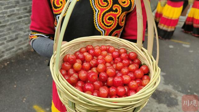 冕宁樱桃红 1.6万亩“红色珍珠”挂枝头