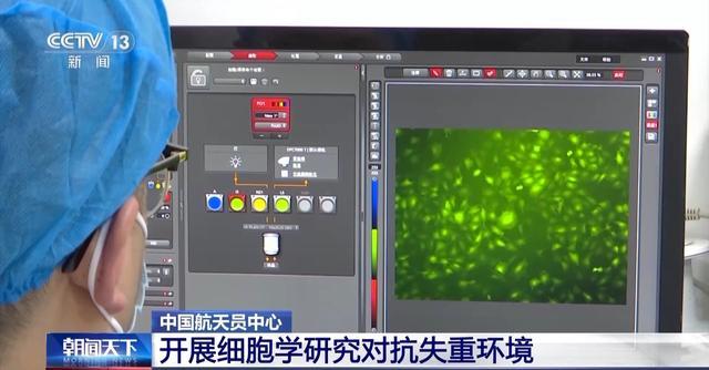 对抗失重 这项研究专为预防航天员骨丢失和肌萎缩