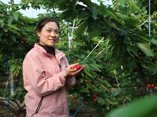 河南安阳县：特色种植尝“甜头” 产业振兴有“奔头”