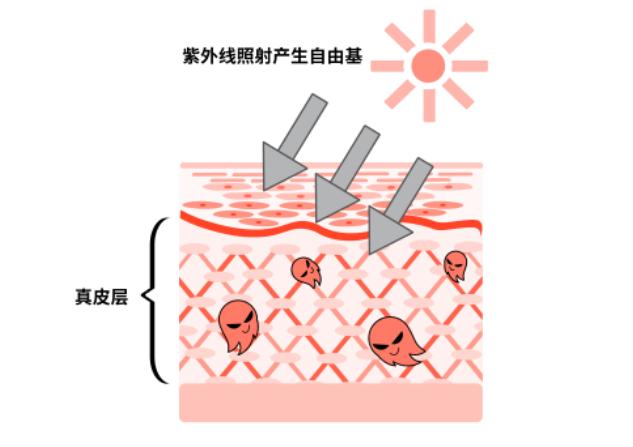 为什么有人显老，有人显年轻？原因就在这 6 点……