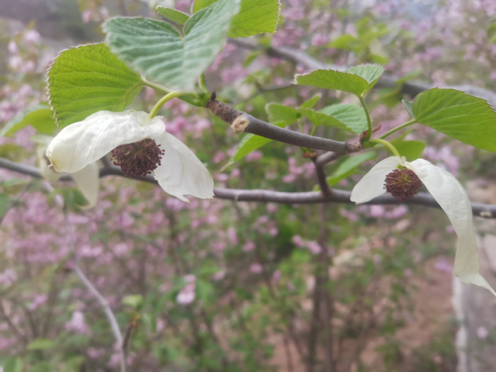 w700d1q75cms.jpg?by=cms_fixed_width